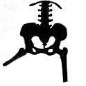 Hip skeleton